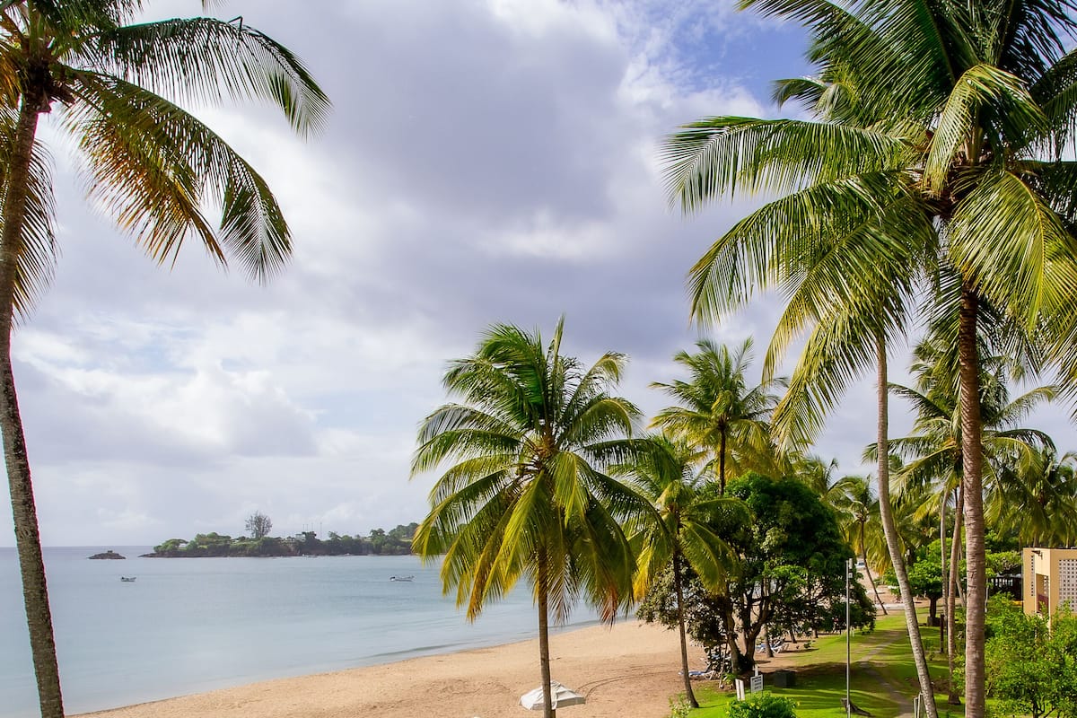 A beach with palm trees, a pathway, and a view of the ocean.