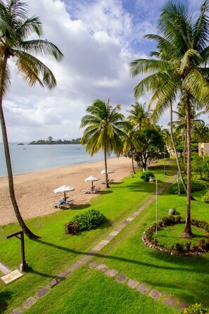 A beach with palm trees, a pathway, and a view of the ocean. - Starfish Tobago Resort (Plymouth)