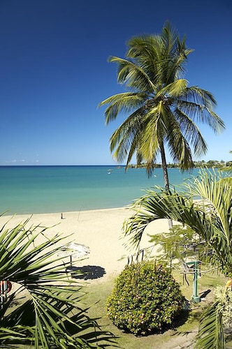 Starfish Tobago Resort