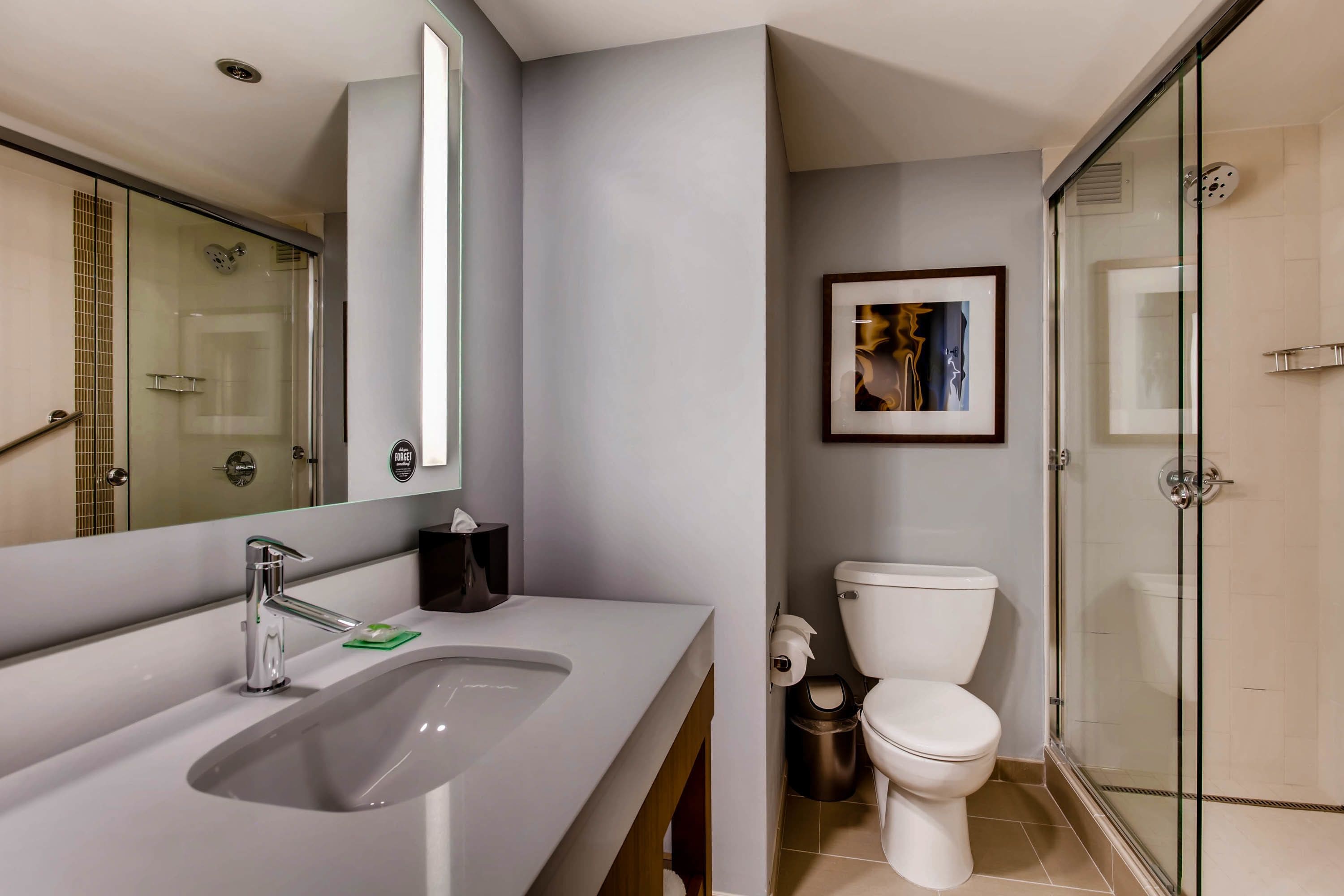 combined shower/bathtub, free toiletries, hair dryer, towels