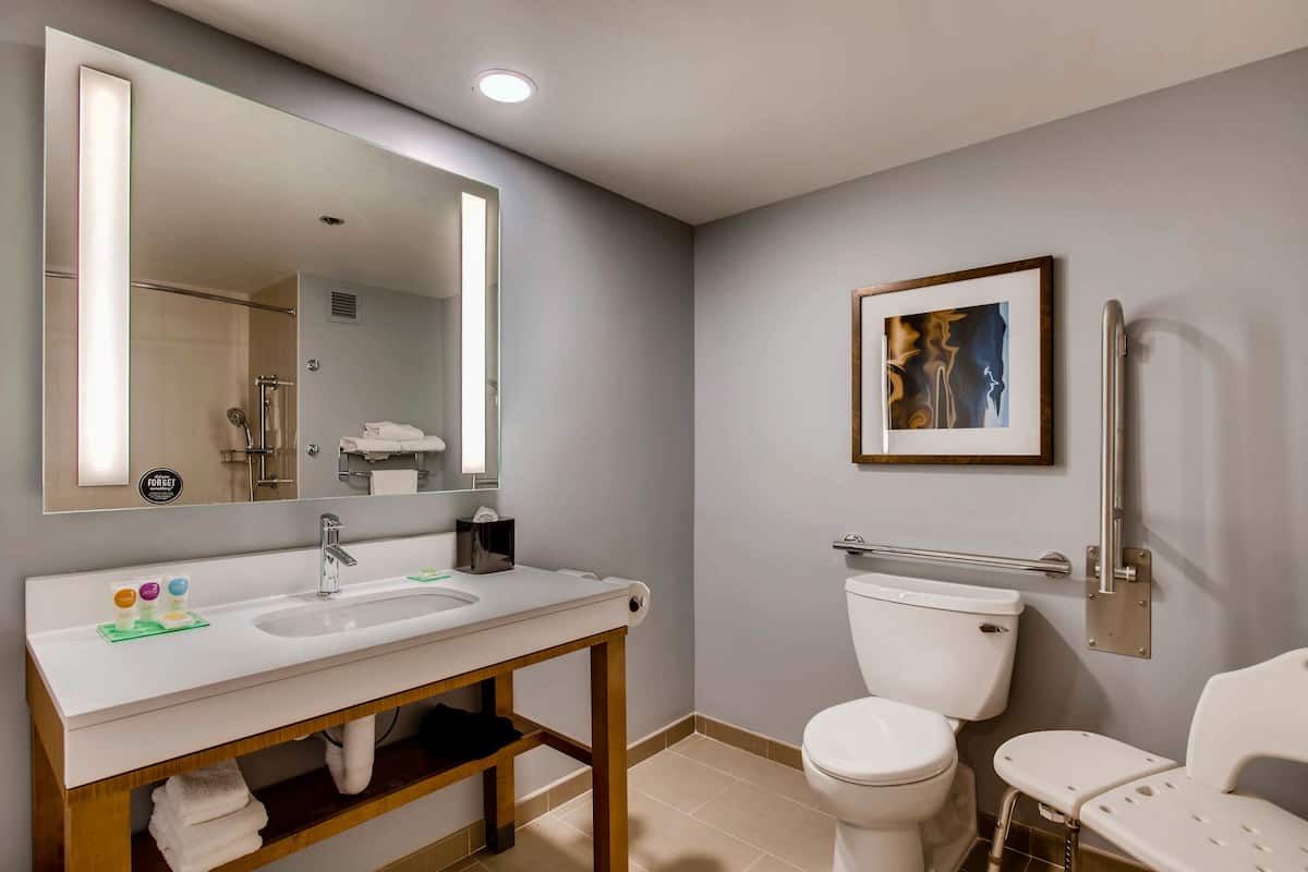 combined shower/bathtub, free toiletries, hair dryer, towels