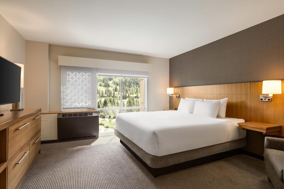 Suite, 1 letto king con divano letto | Cassaforte in camera, una scrivania, postazione laptop
