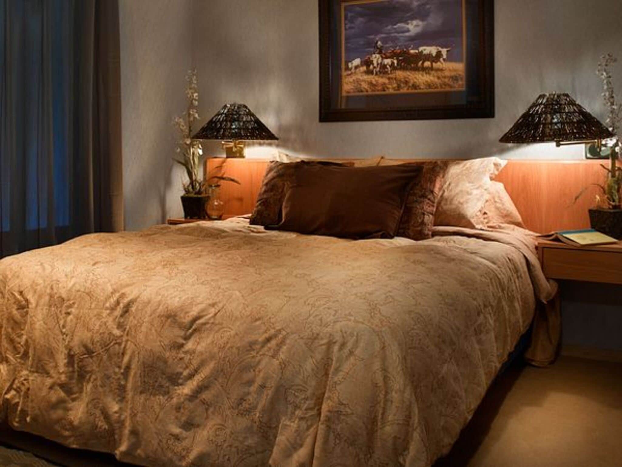 A bedroom with a large bed, two bedside lamps, a framed picture on the wall, and a nightstand with a plant.