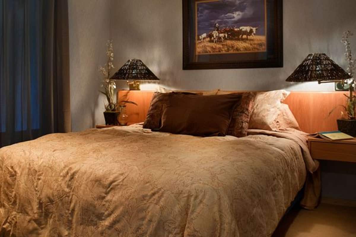 A bedroom with a large bed, two bedside lamps, a framed picture on the wall, and a nightstand with a plant.