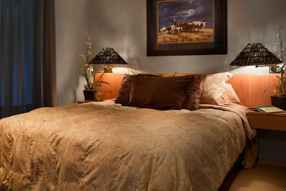 A bedroom with a large bed, two bedside lamps, a framed picture on the wall, and a nightstand with a plant.