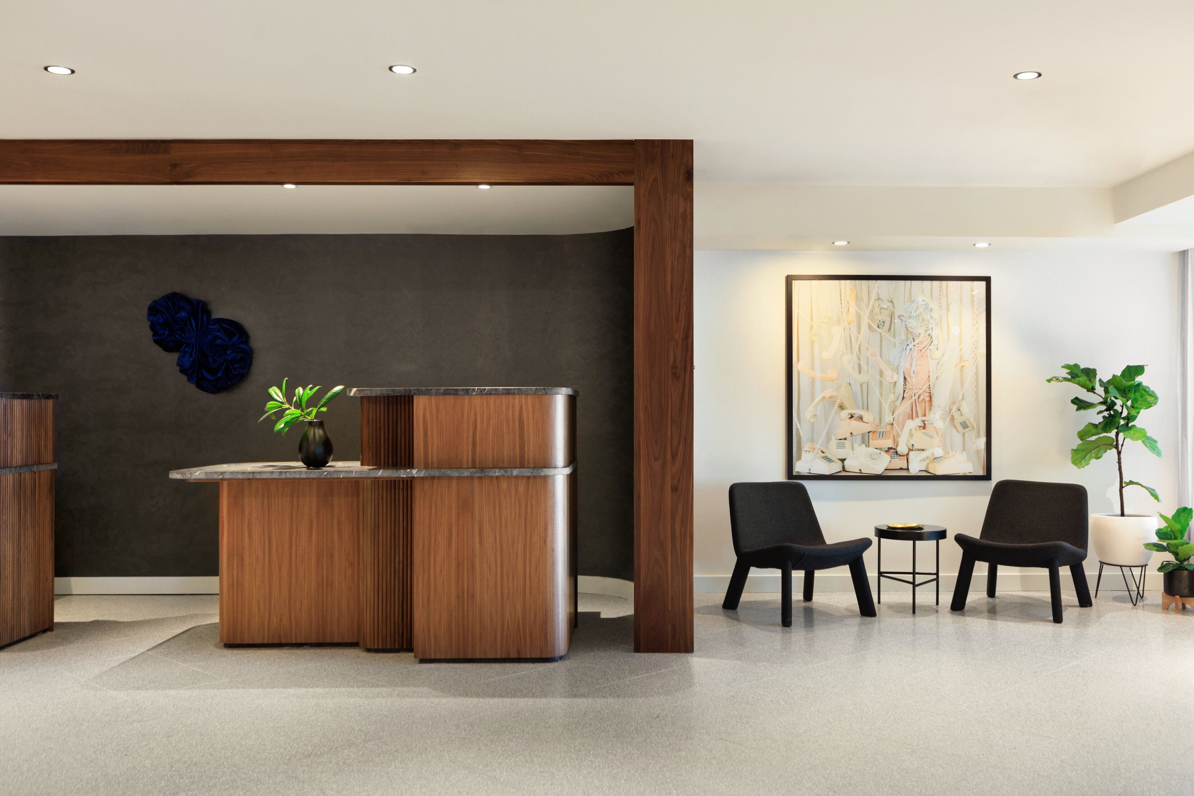 Foto - Kimpton Banneker Hotel by IHG