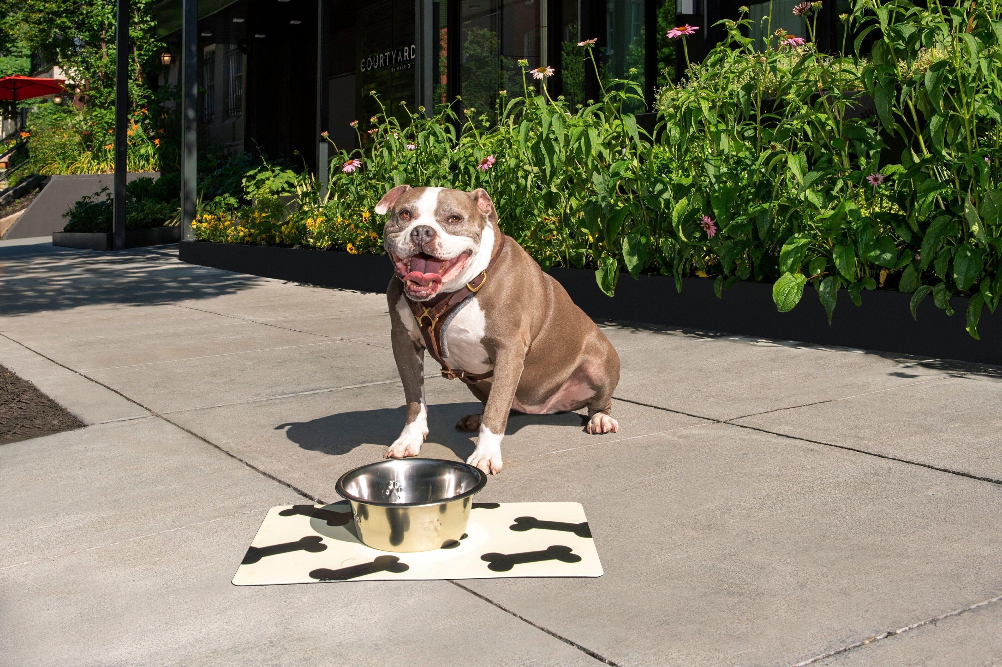 Photo - Courtyard by Marriott Washington, DC Dupont Circle