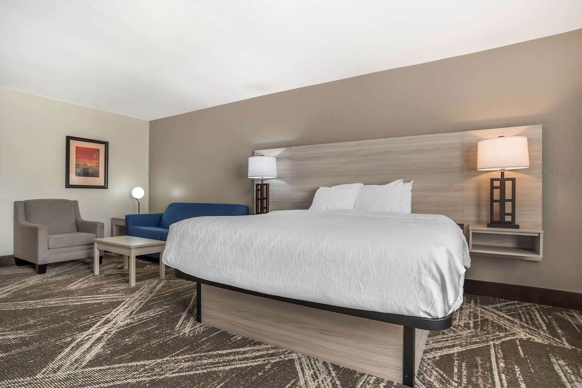 Una habitación de hotel con una cama grande, un escritorio, una silla, un sofá y dos lámparas de noche.