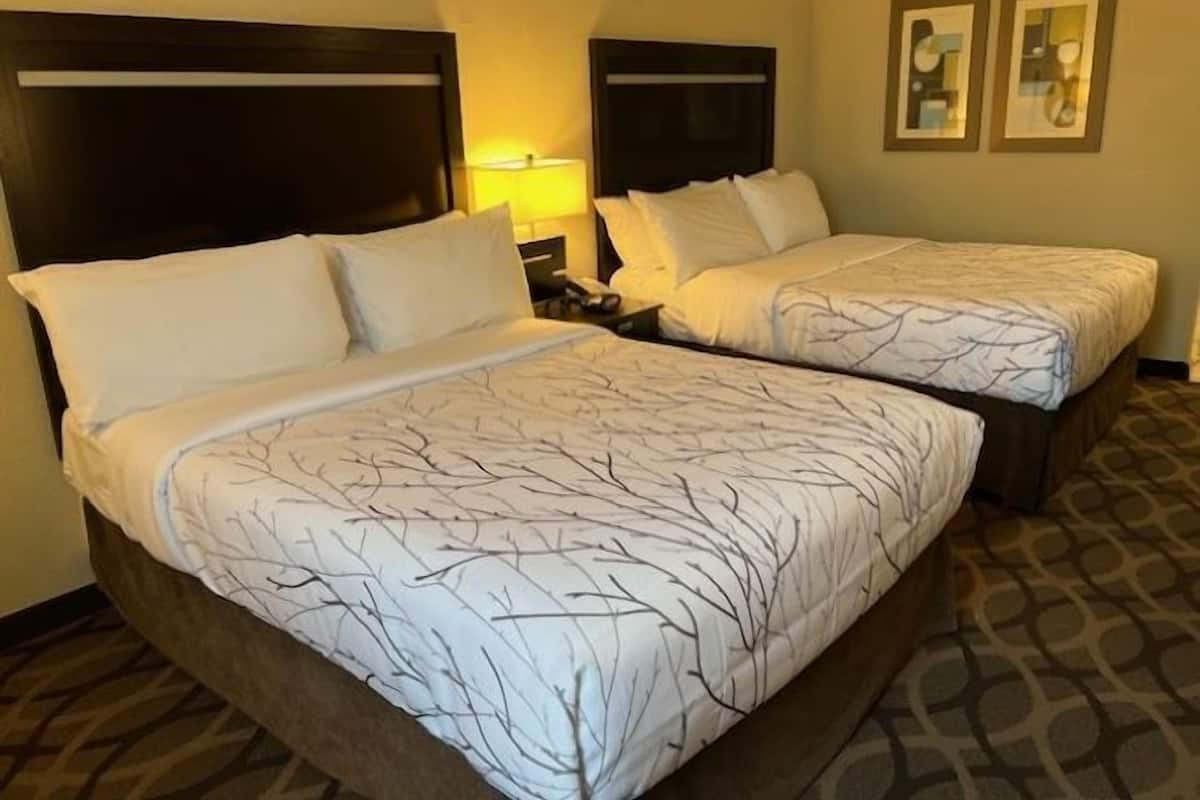 Standard Room, 2 Queen Beds, Non Smoking, Refrigerator & Microwave | Premium bedding, in-room safe, desk, blackout drapes