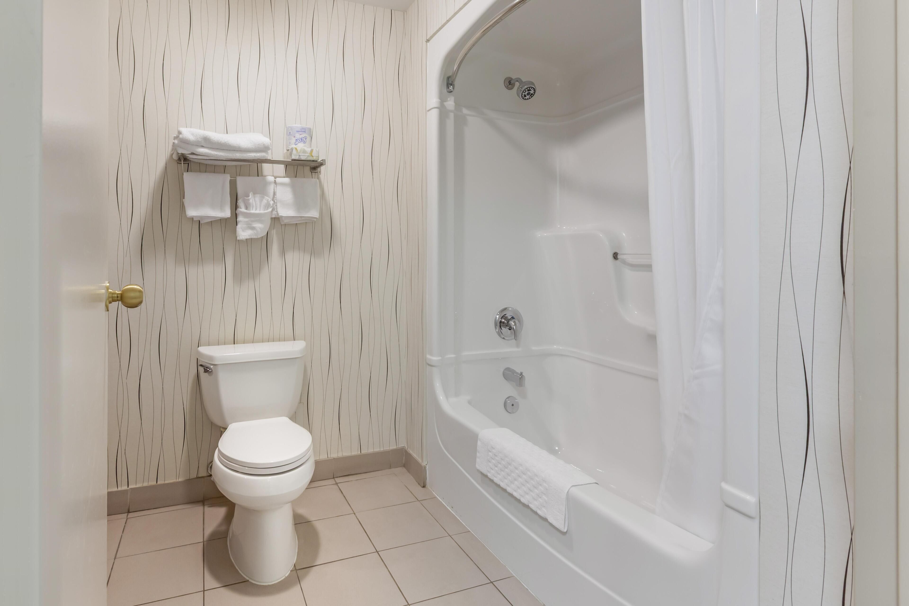 A bathroom with a toilet, a bathtub, and a shower.