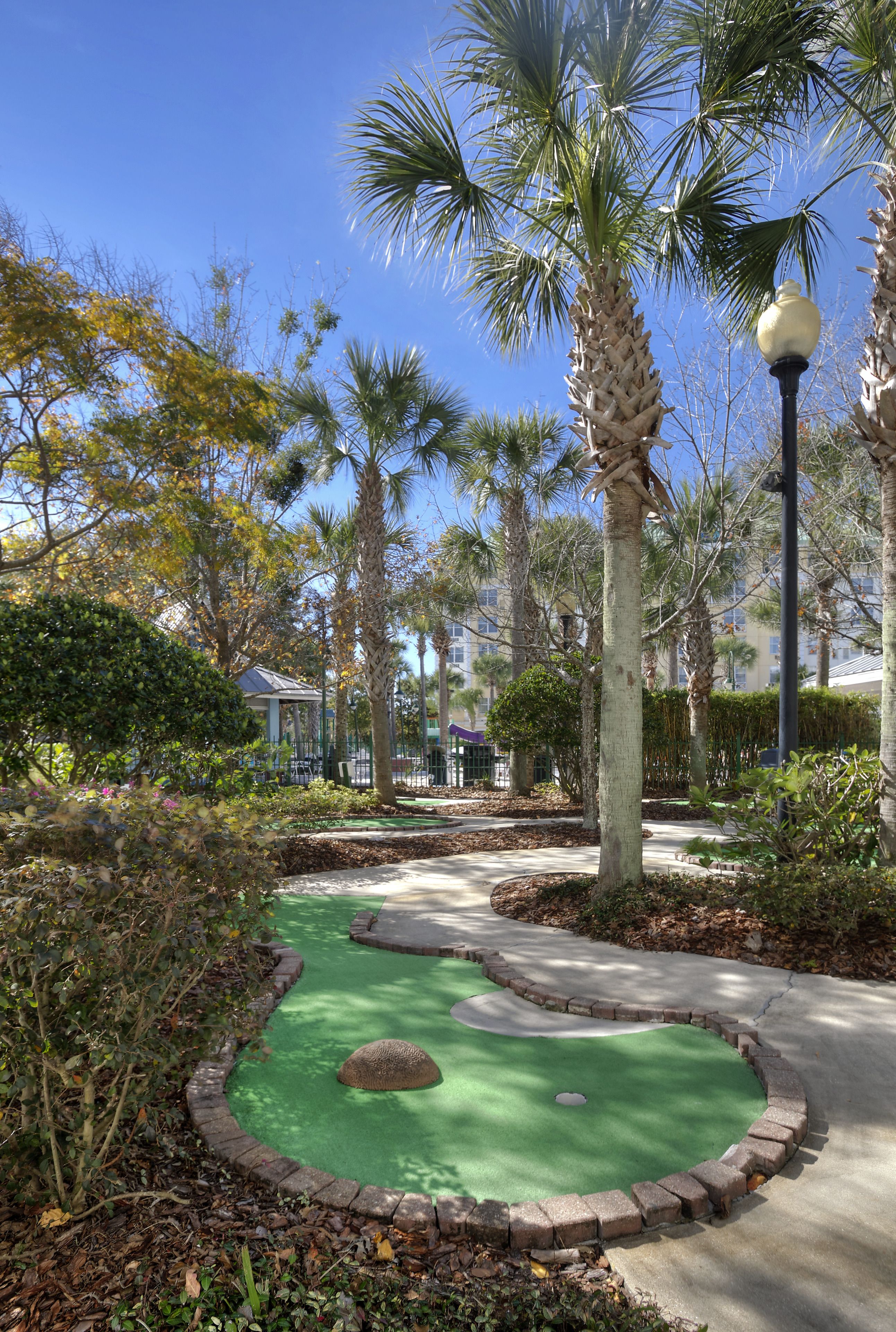 Photo - Holiday Inn Express & Suites S Lake Buena Vista by IHG