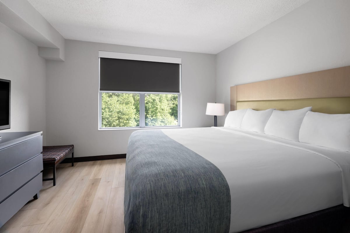 Suite, 1 King Bed, Non Smoking | Desk, laptop workspace, blackout drapes, iron/ironing board