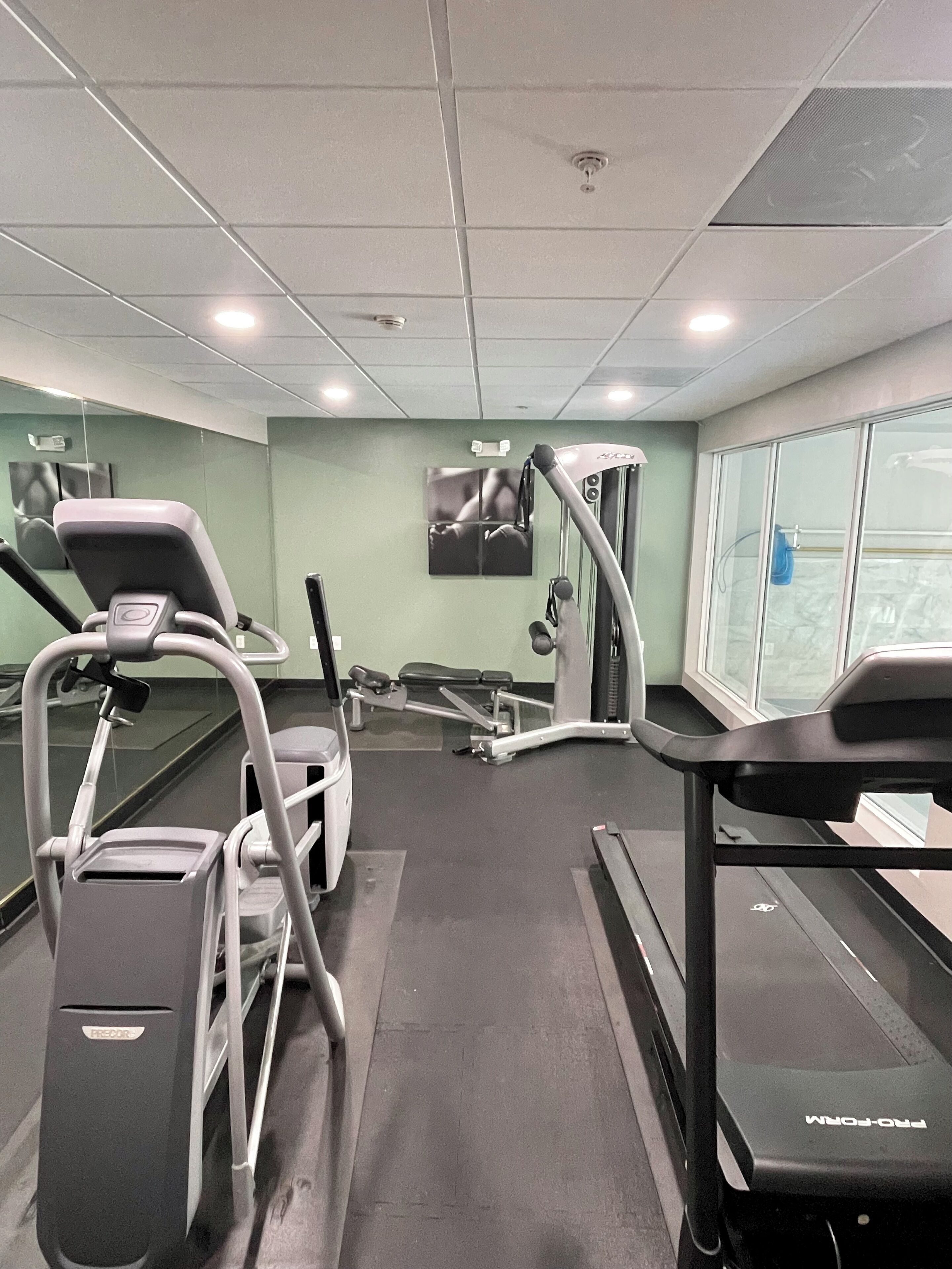 A gym with treadmills, elliptical machines, and weight benches.