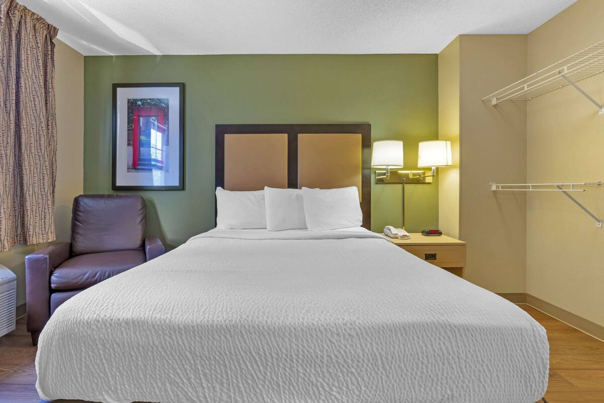 Habitación de hotel con una cama grande, una silla, una mesita de noche con lámpara y un tendedero en la pared.