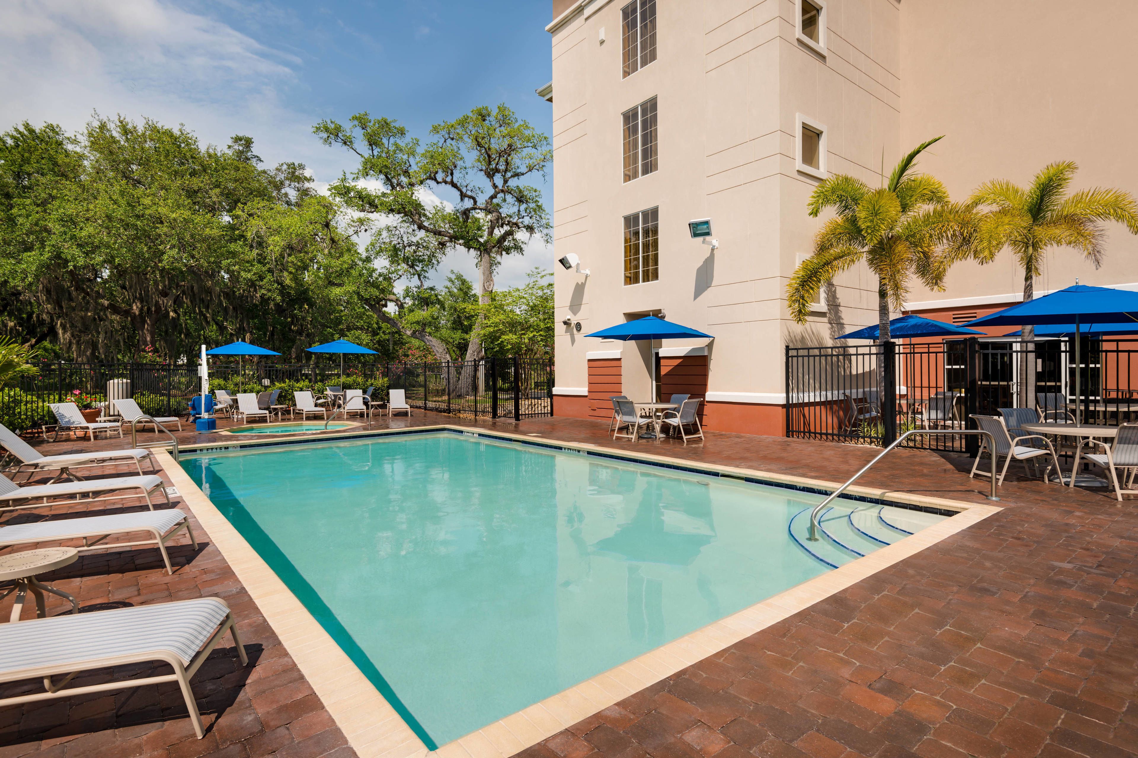 7 Best PetFriendly Hotels In Clearwater, Florida Updated 2024 Trip101