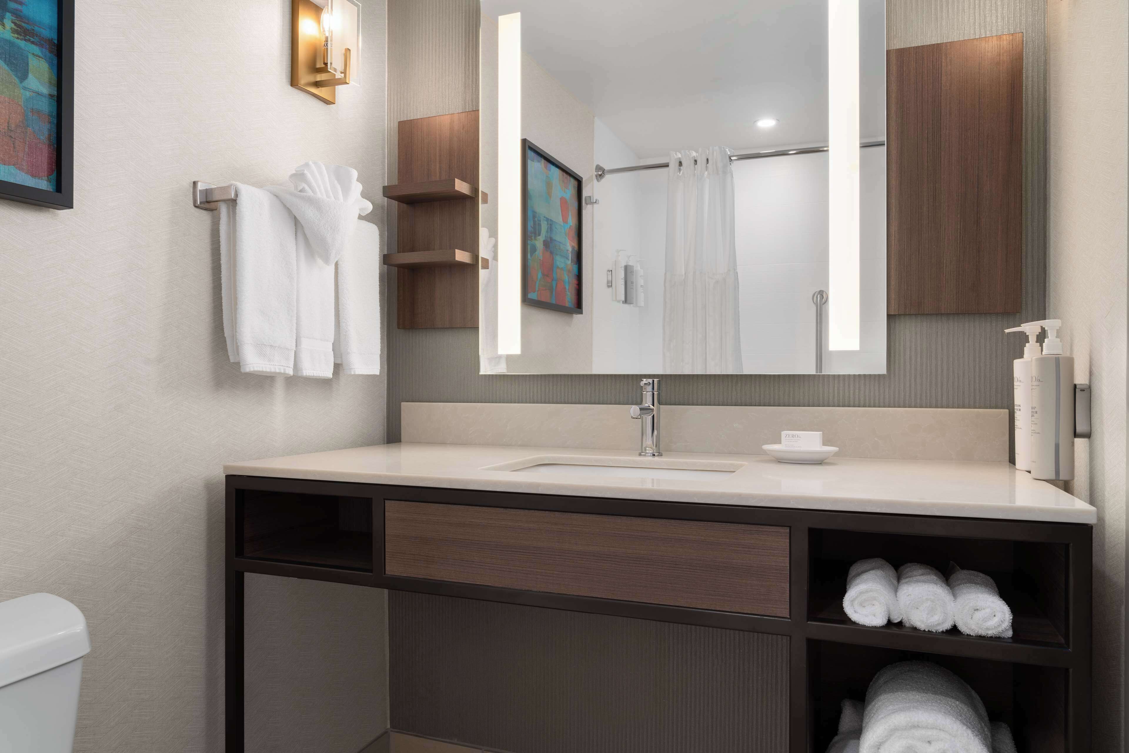 hair dryer, towels, soap, shampoo