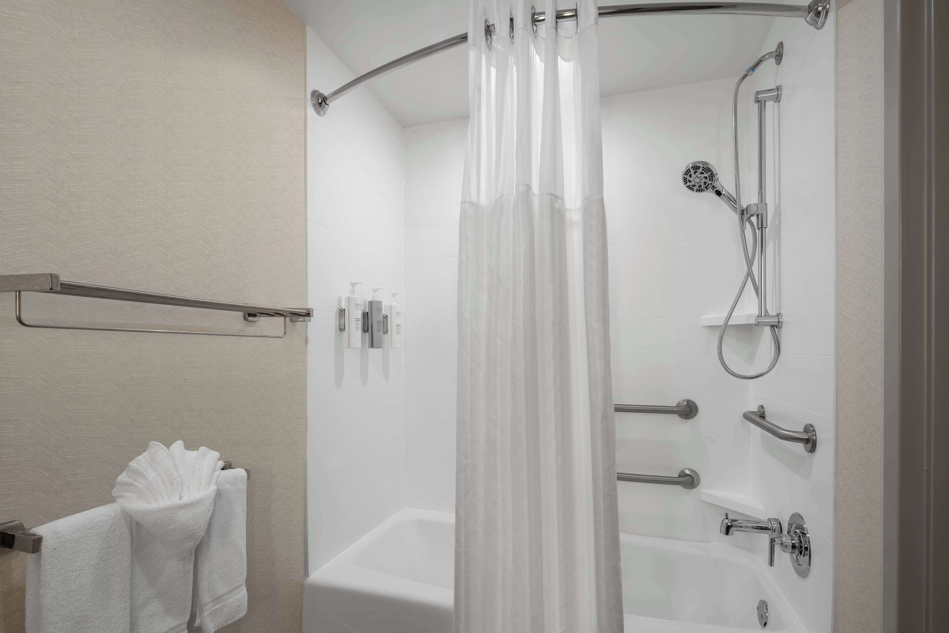 suite, 1 king bed, accessible | bathroom shower