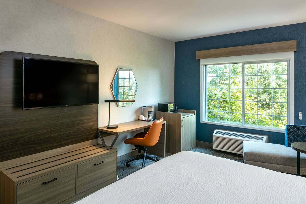 A hotel room with a bed, a desk with a chair, a flat-screen TV, a heater, and a window with a view of trees.
