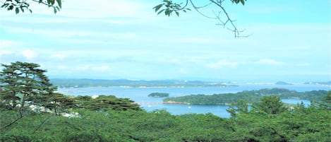 Paisaje costero con abundante vegetación, un puente y una vista distante del mar.