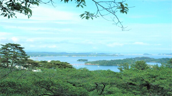 A coastal landscape with dense greenery, a bridge, and a distant view of the sea.