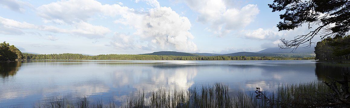 A calm lake with a forested shoreline and distant mountains.