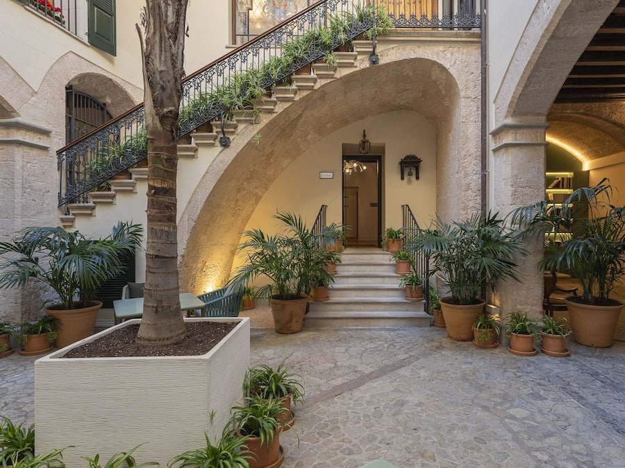 A courtyard with a staircase, potted plants, and a palm tree.