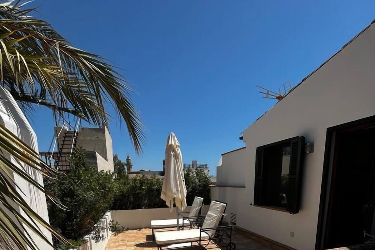 A rooftop patio with tiled flooring, a covered seating area, and a palm tree.