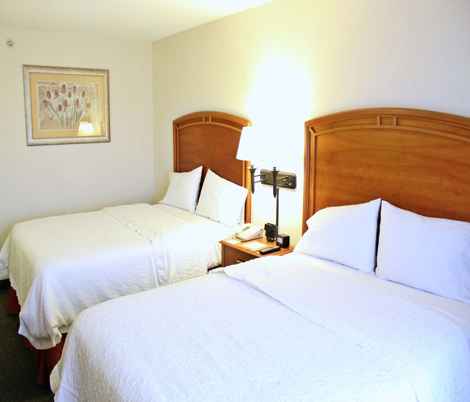 Blackout drapes, free WiFi, bed sheets, alarm clocks