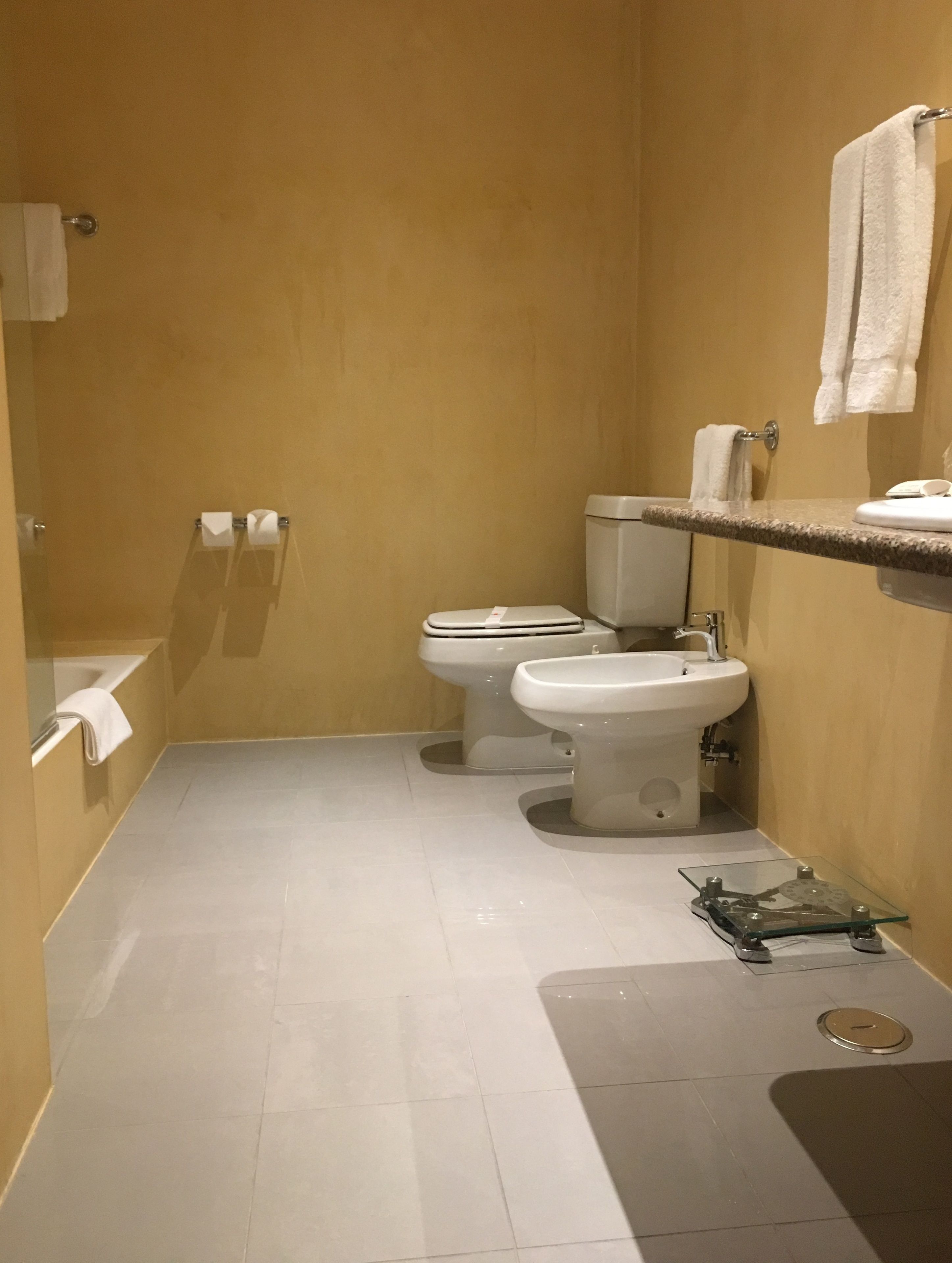 shower, hair dryer, bidet, towels