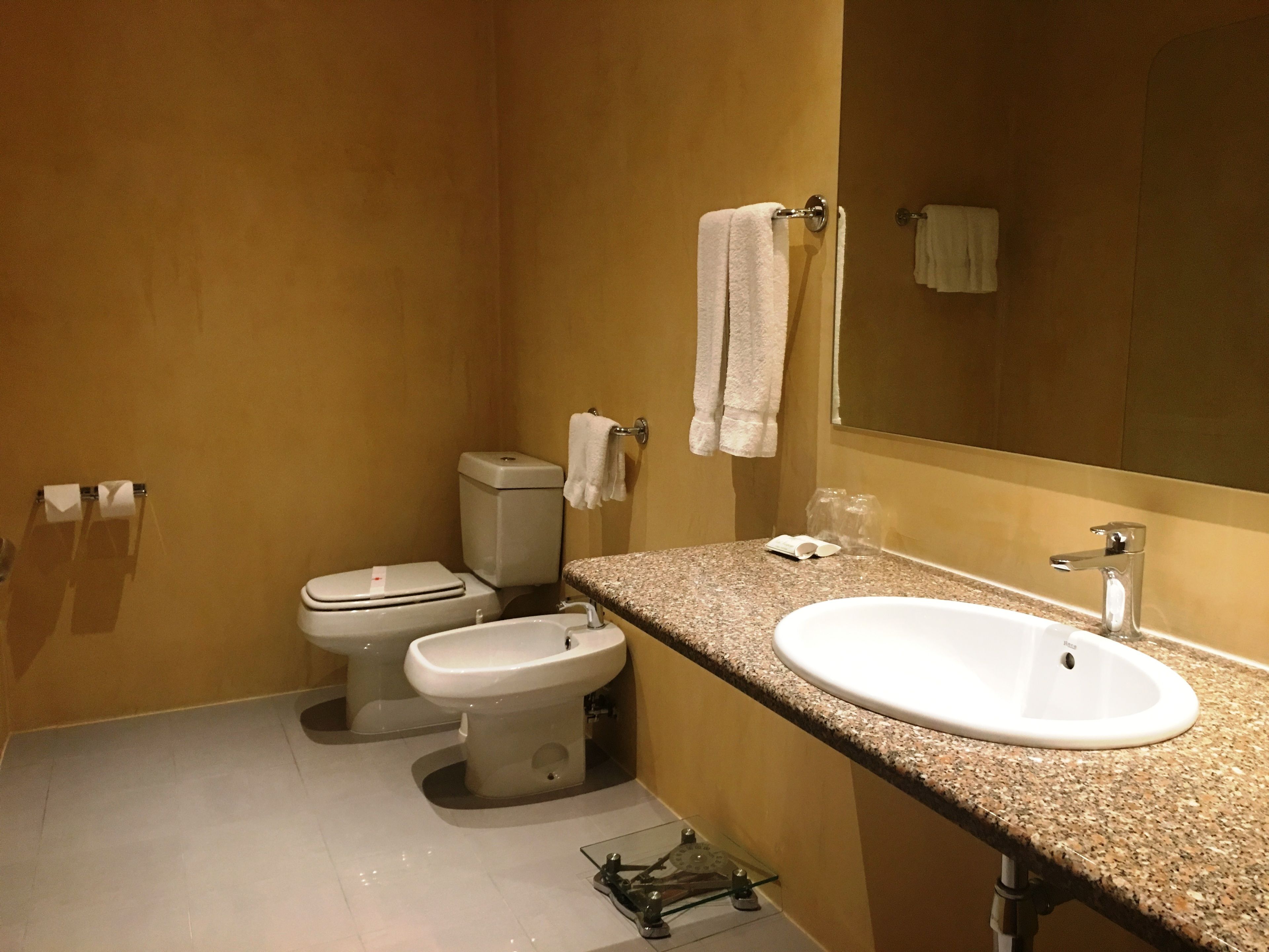 family room | bathroom | shower, hair dryer, bidet, towels