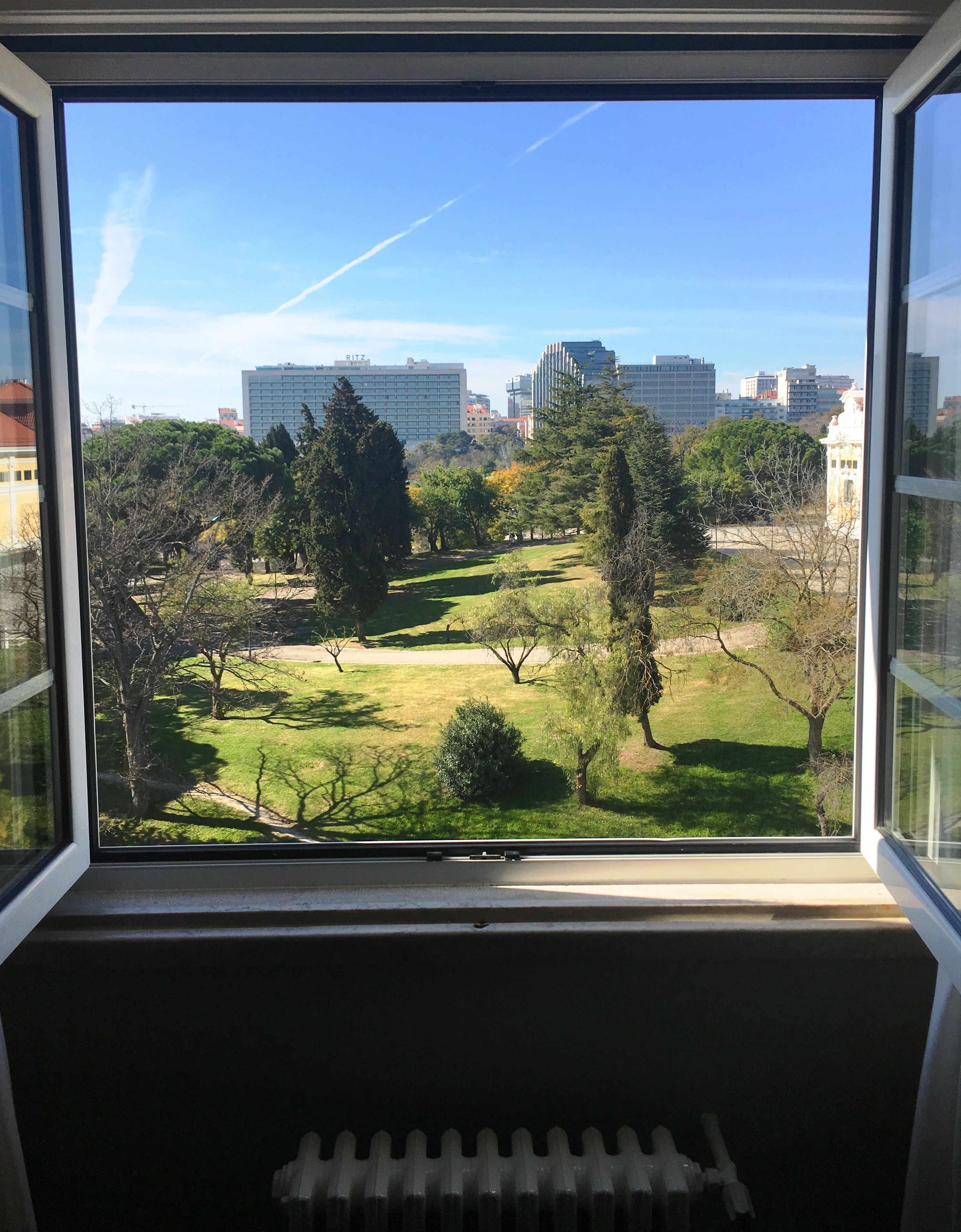 twin room, park view | view from room