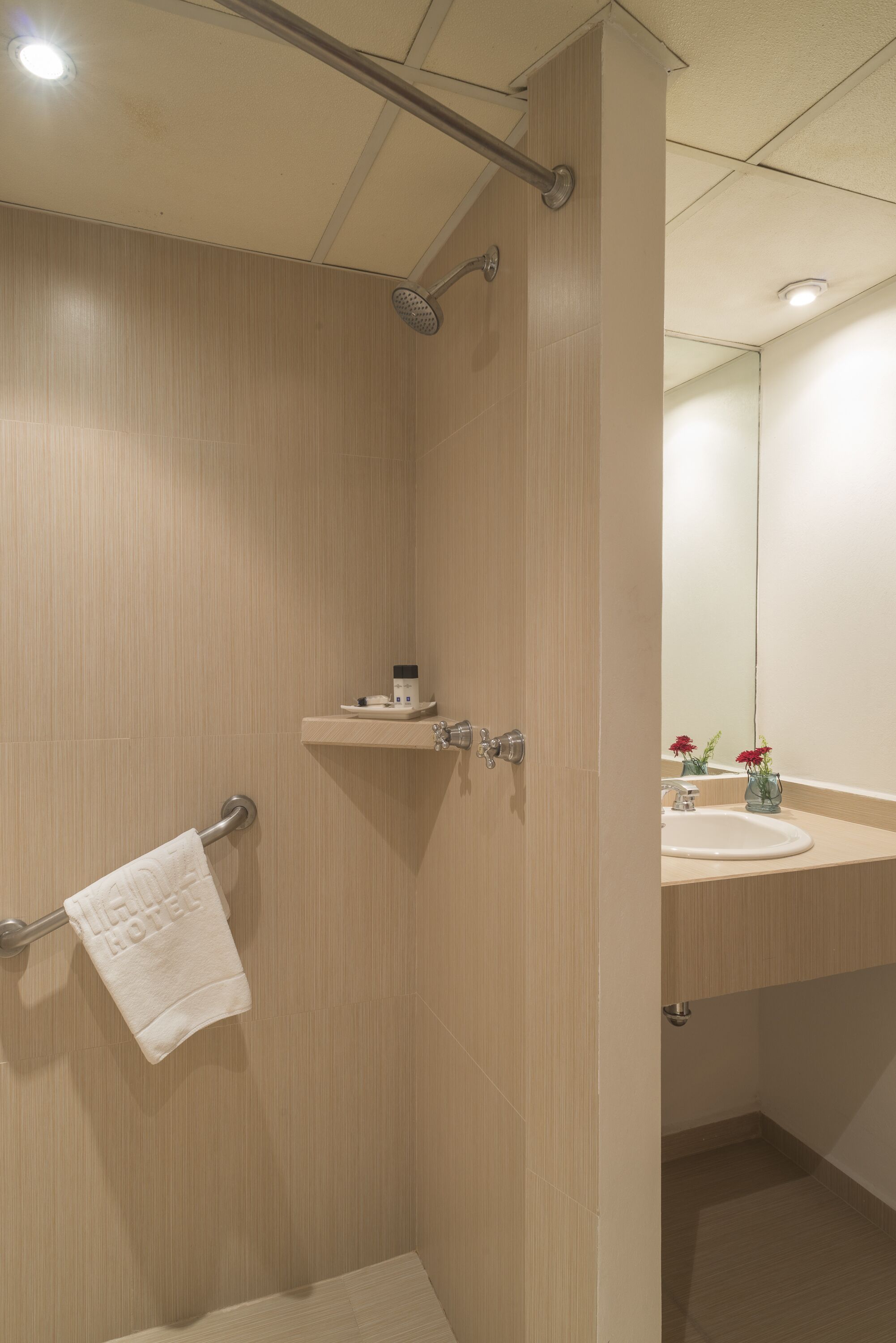 economy room | bathroom | shower, hair dryer, towels