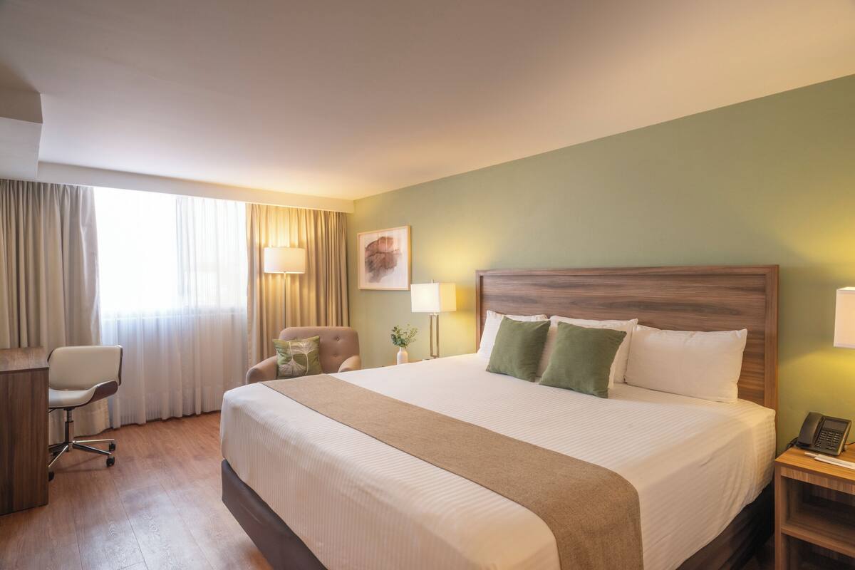 Standard, One King Bed