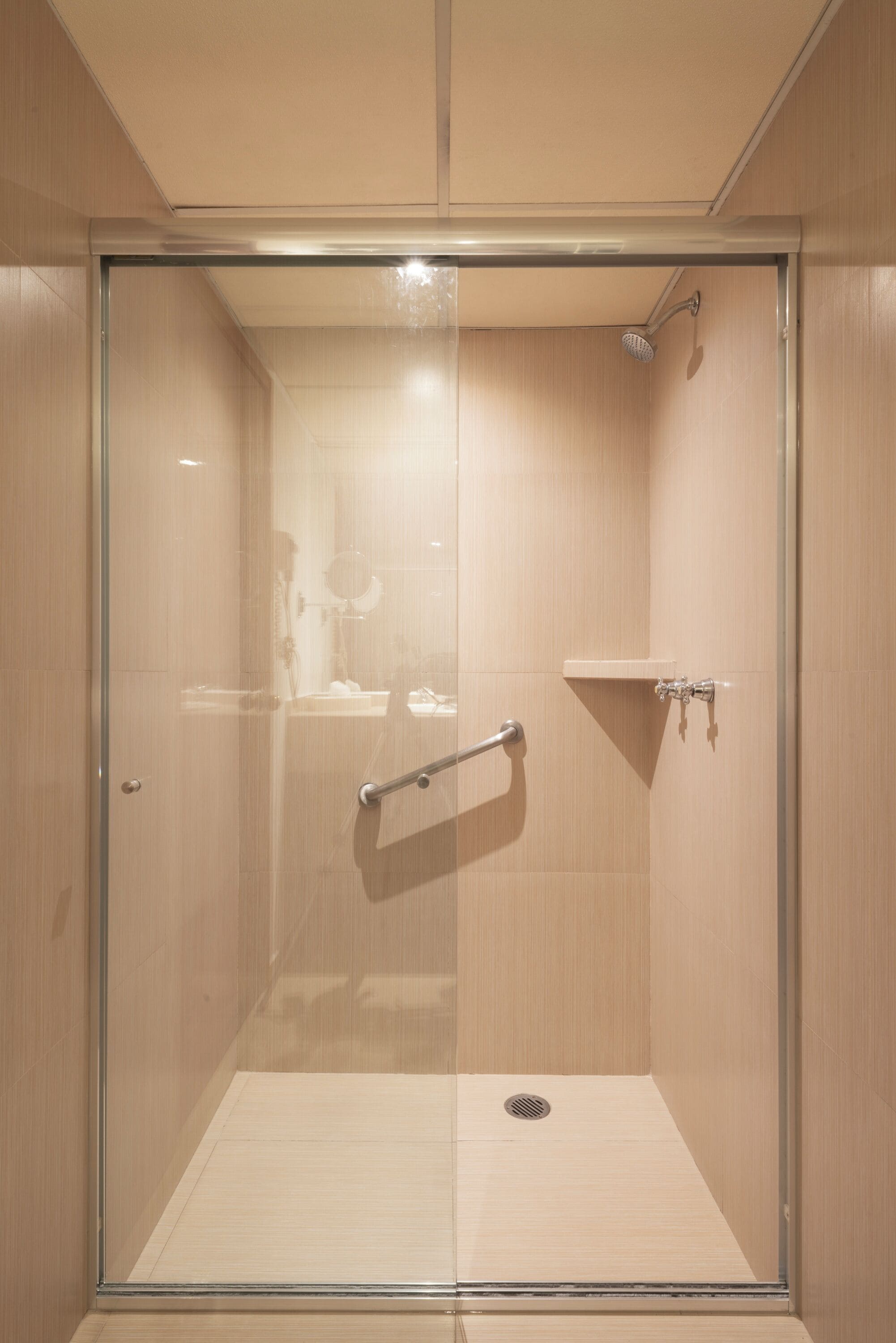 A glass-enclosed shower stall with a handheld showerhead, a handheld mirror, and a grab bar.