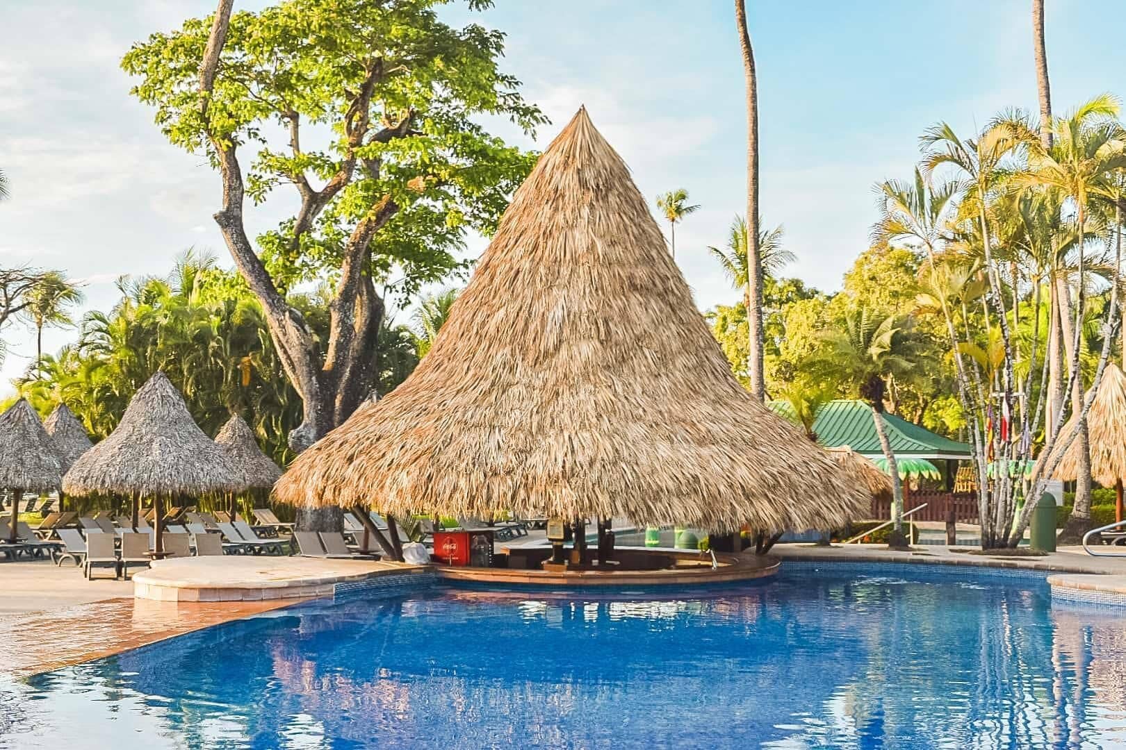 A pool area with thatched umbrellas and lounge chairs.