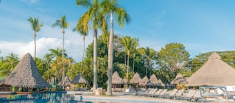 Barceló Tambor