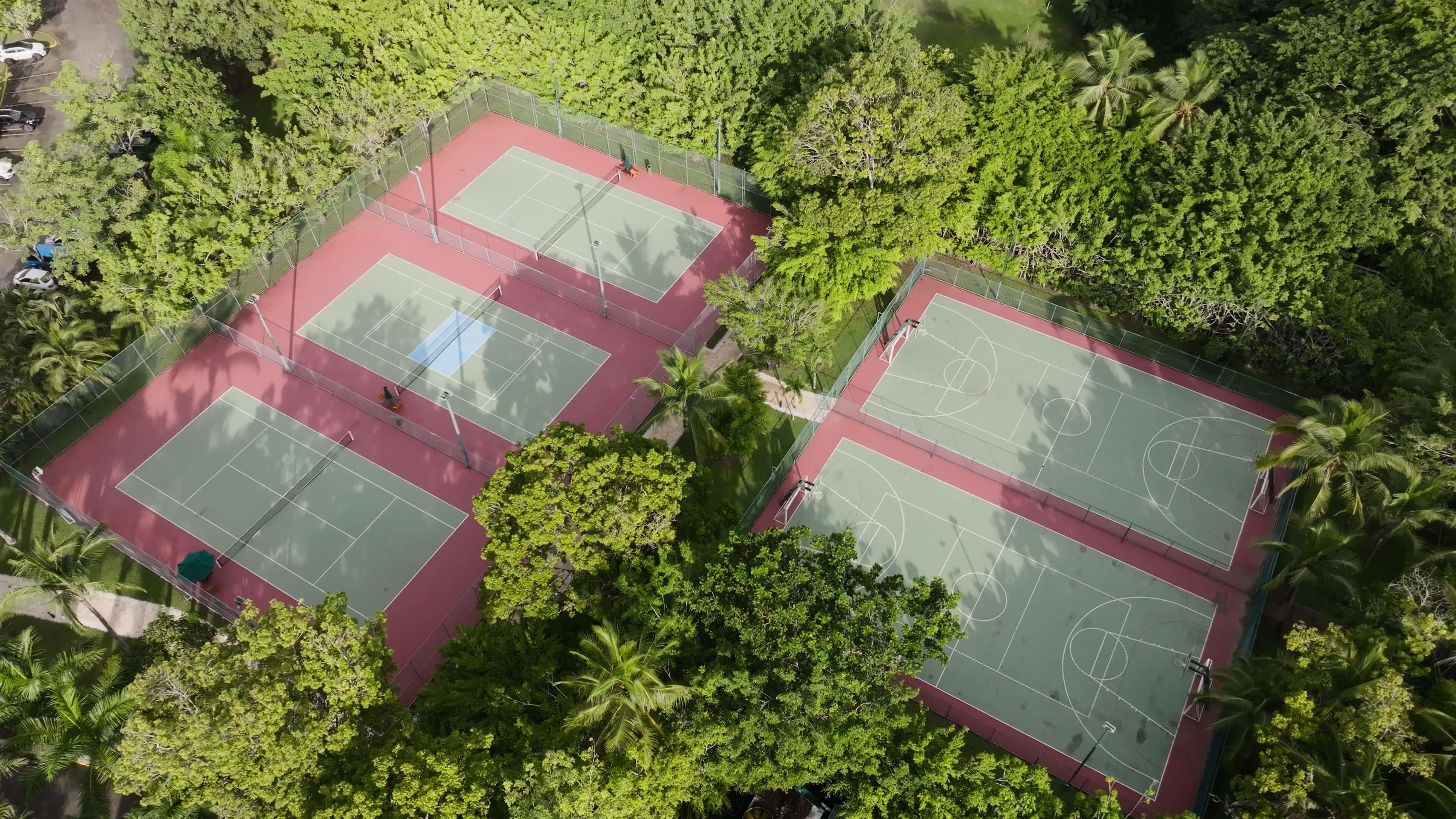 Vista aérea de un complejo deportivo con múltiples canchas rodeadas de abundante vegetación y palmeras.