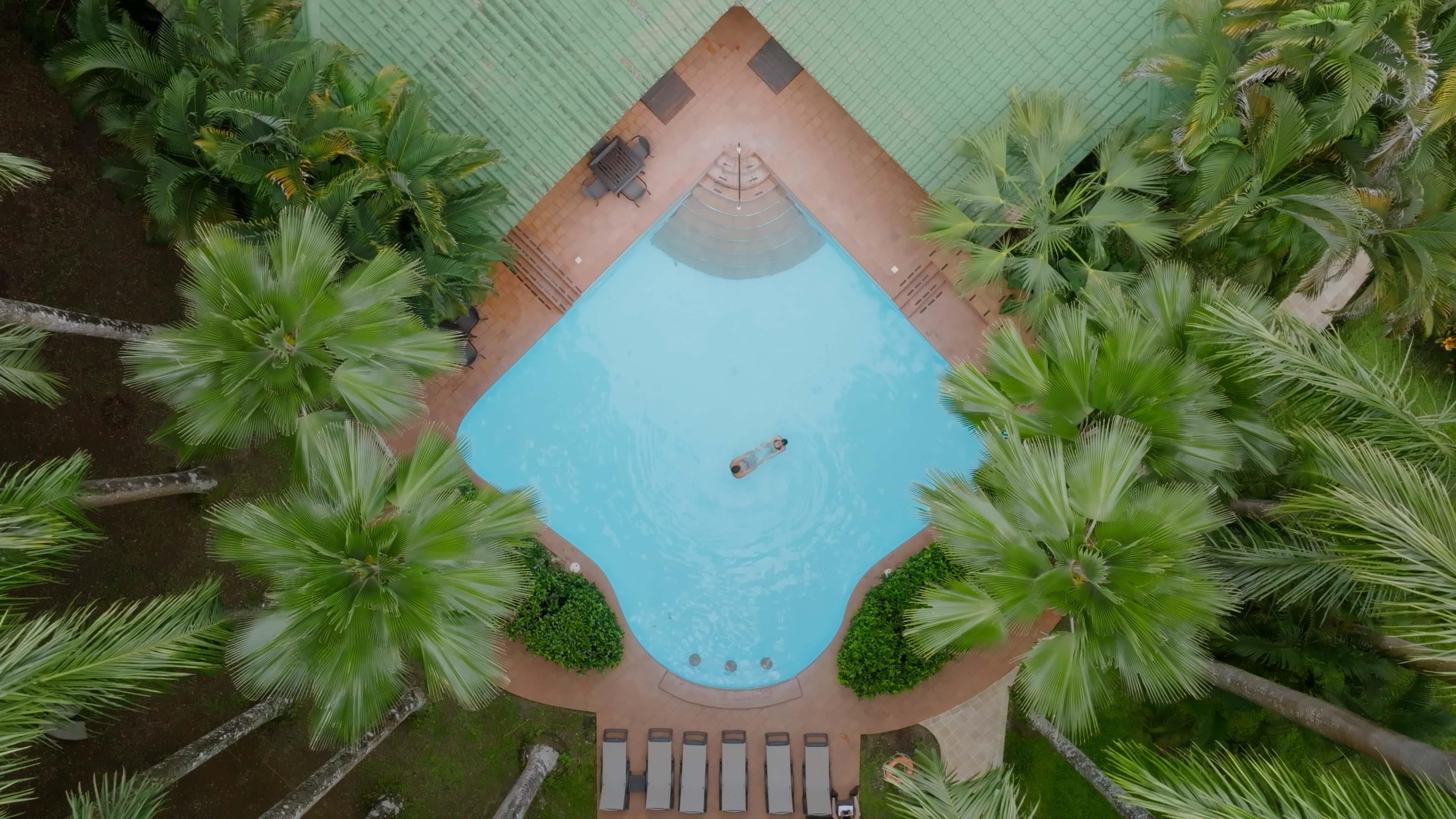 An aerial view of a swimming pool surrounded by palm trees, with lounge chairs and a covered seating area.