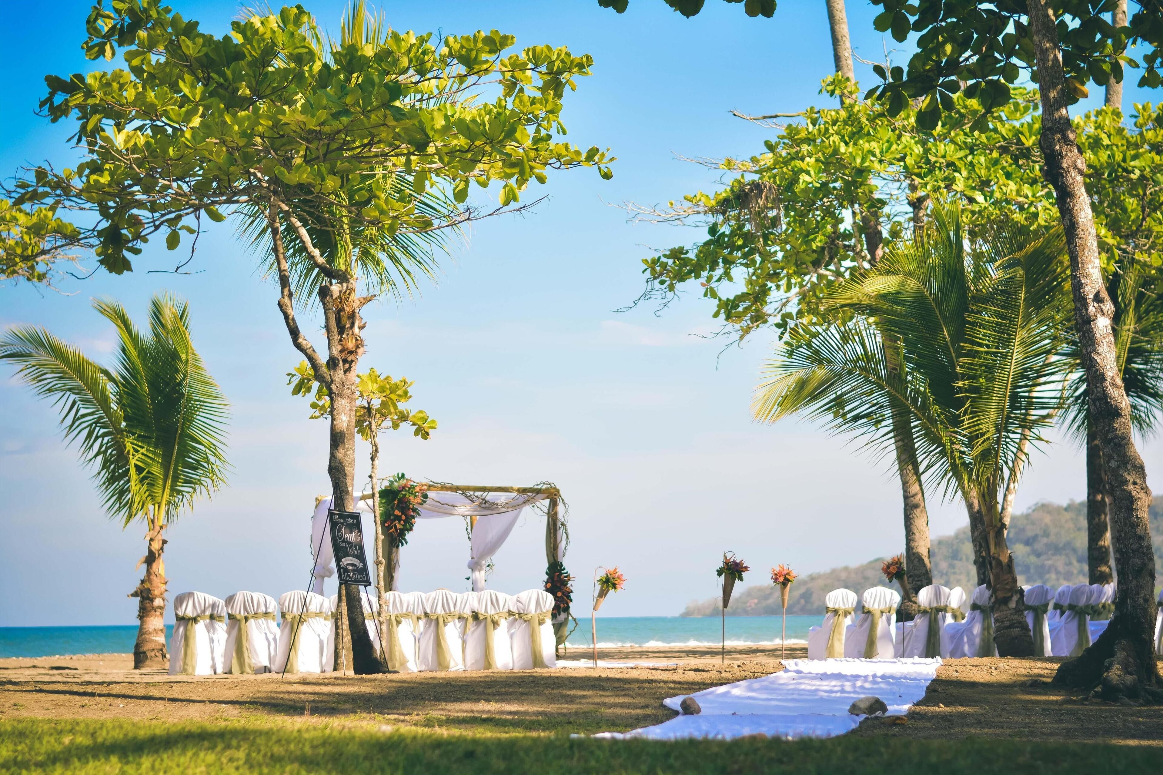 A beach wedding setup with a canopy, chairs, and a table, surrounded by palm trees and the ocean.