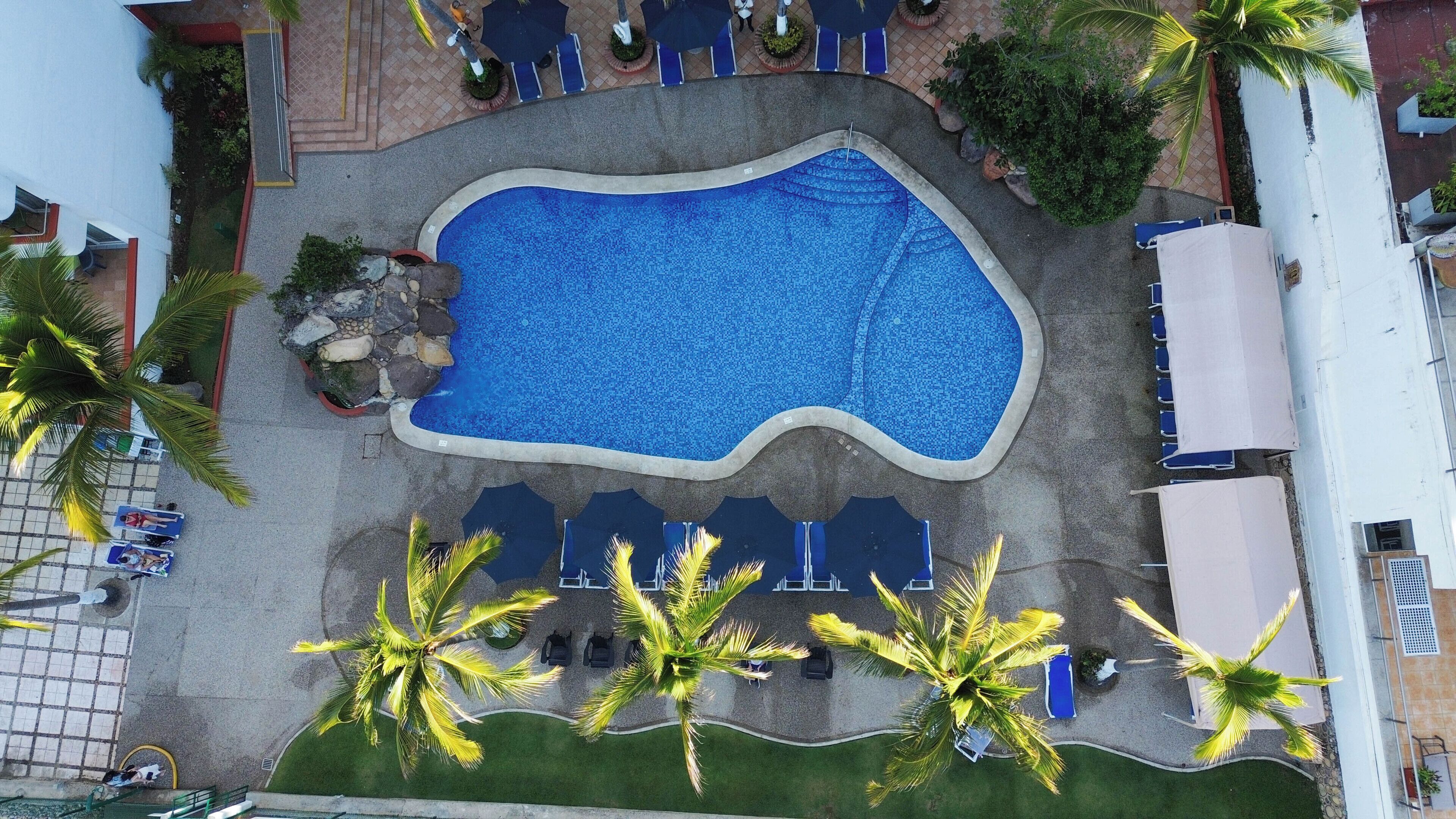 Vista aérea de una piscina rodeada de palmeras y sillas de descanso.