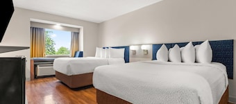 Microtel Inn & Suites by Wyndham Salisbury