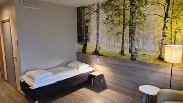 Standard Single Room | Minibar, desk, rollaway beds, free WiFi