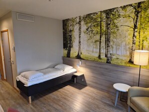Enkeltrom – standard | Minibar, skrivebord, ekstrasenger og wi-fi (inkludert)
