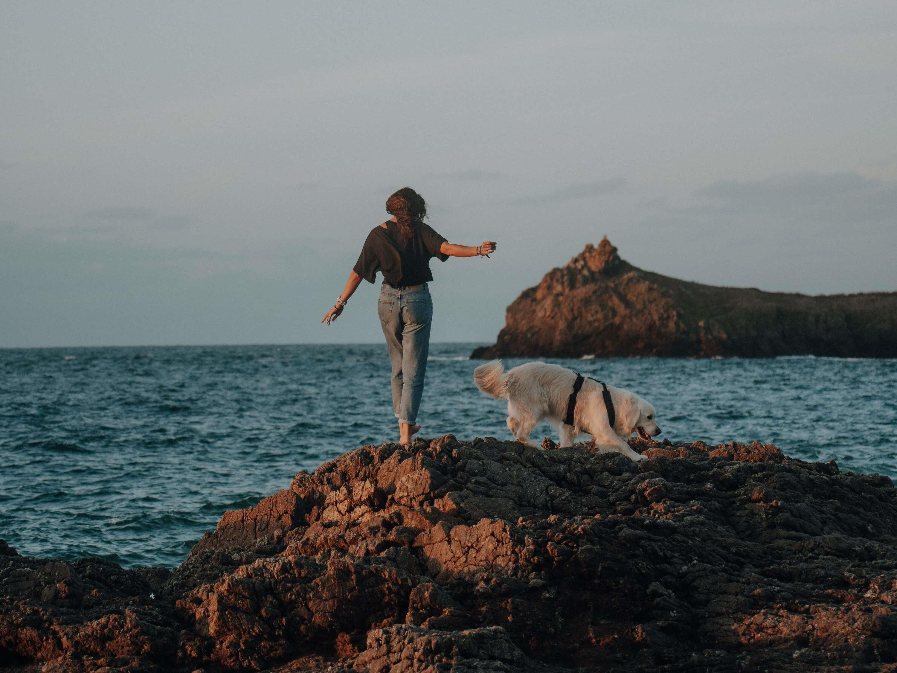 A person and a dog on a rocky outcrop by the sea with a large rock formation in the background.