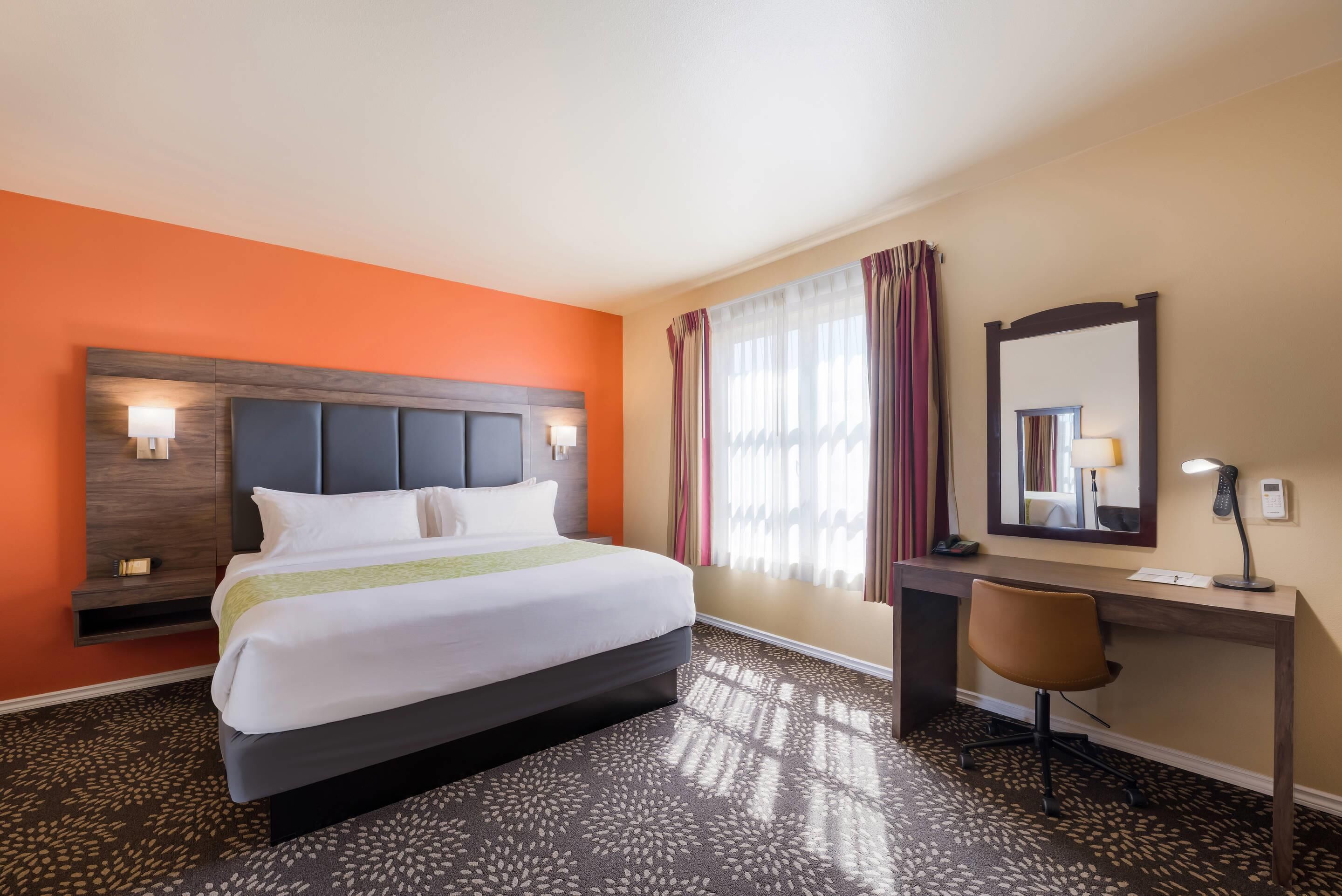 Room, 1 King Bed, Non Smoking | Hypo-allergenic bedding, down comforters, pillowtop beds