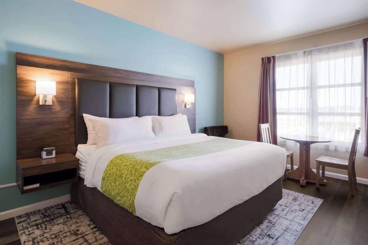 Room | 1 bedroom, hypo-allergenic bedding, down duvets, pillow-top beds
