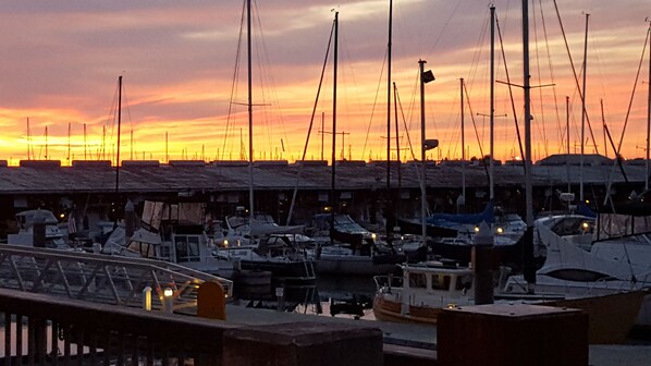 Marina