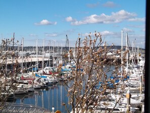 Vue depuis l’hébergement