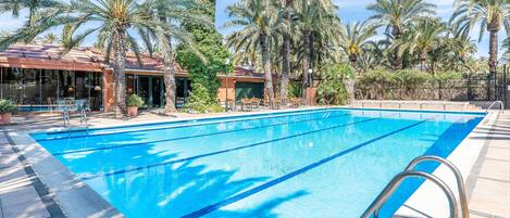 A swimming pool with clear blue water, surrounded by palm trees and lounge chairs.