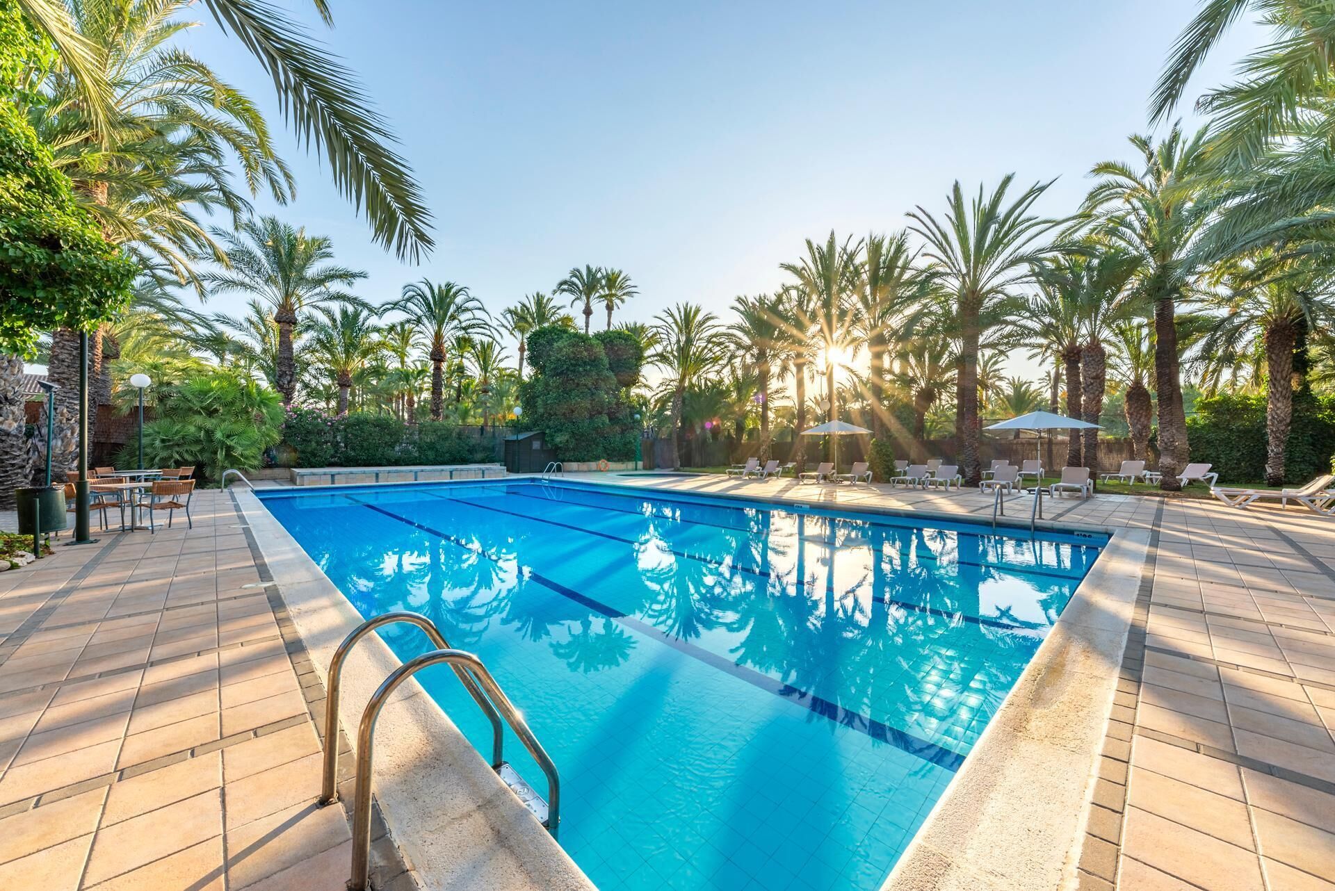 Une piscine rectangulaire à l’eau d’un bleu cristallin, entourée de palmiers et de chaises longues.
